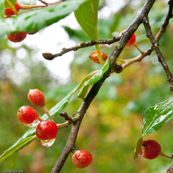 Heart of the Valley Farm, Palmerton, PA : Autumn, Northeastern US : JonPargas