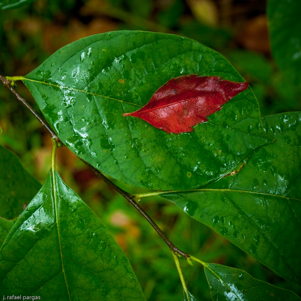 Heart of the Valley Farm, Palmerton, PA : Autumn, Northeastern US : JonPargas