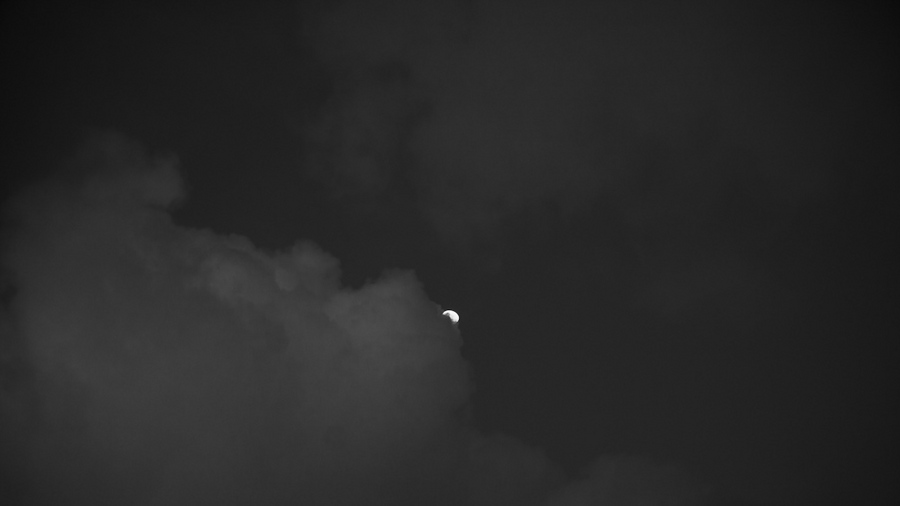 Early morning Moon : Edisto Island, SC : JonPargas