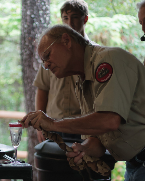 Venom Extraction at Edisto Serpentarium : Edisto Island, SC : JonPargas