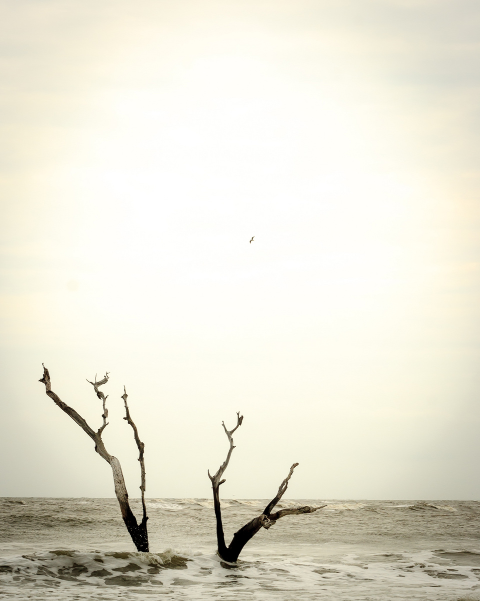 South of Folly Beach, SC : North Charleston Arts Festival 2015 : JonPargas