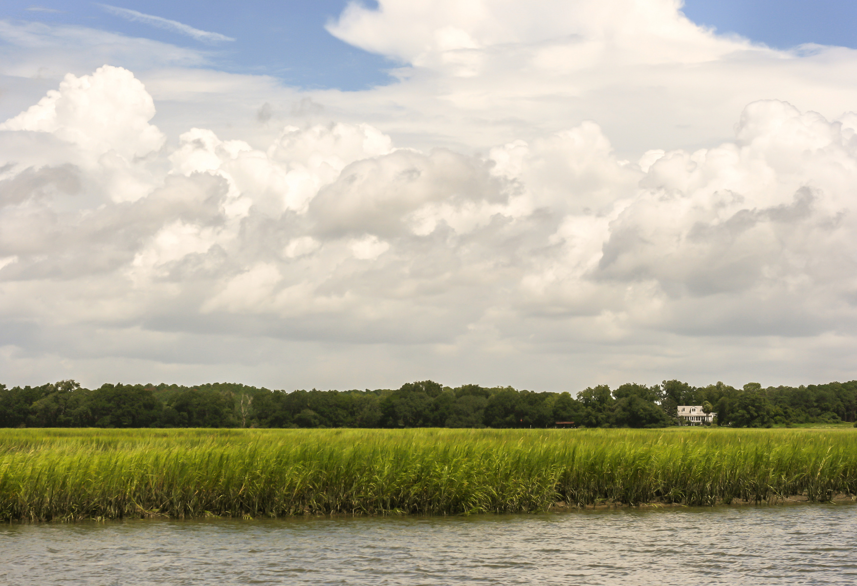 Botany Bay, Edisto Island, SC : North Charleston Arts Festival 2015 : JonPargas