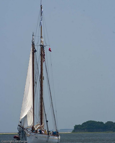 Spirit of South Carolina : Tall Ships, Charleston Harbor, SC : JonPargas