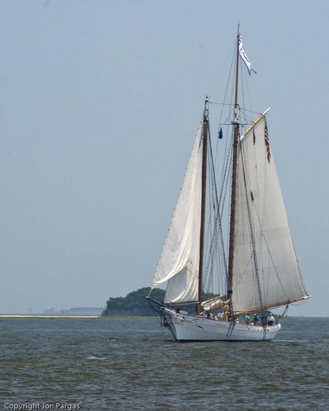 Spirit of South Carolina : Tall Ships, Charleston Harbor, SC : JonPargas