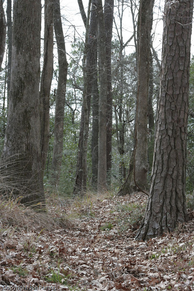  : Fort Dorchester State Historic Site : JonPargas